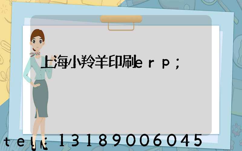 上海小羚羊印刷erp