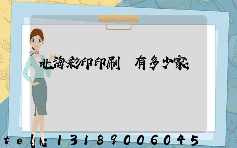 北海彩印印刷廠有多少家