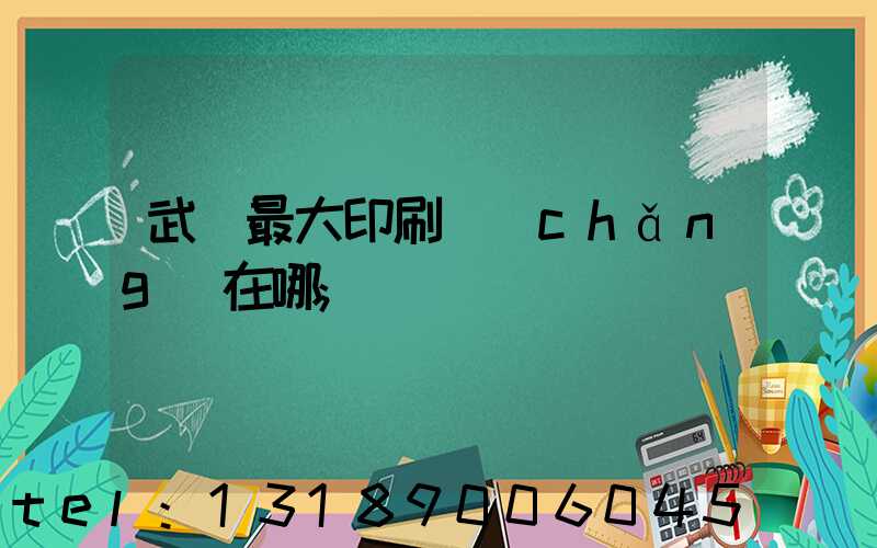 武漢最大印刷廠(chǎng)在哪