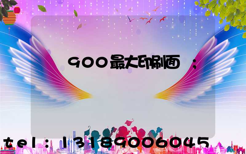 羅蘭900最大印刷面積