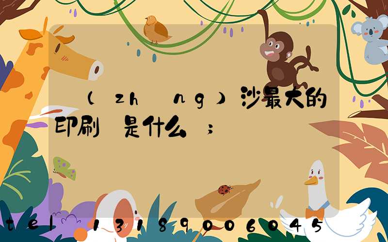 長(zhǎng)沙最大的印刷廠是什么廠